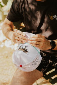 NO BULL STAUNCH HAT